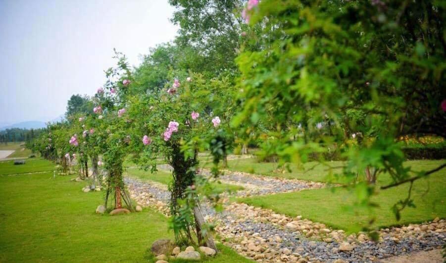 Flamingos Dai Lai Resort - Luxury Ngoc Quang Dış mekan fotoğraf