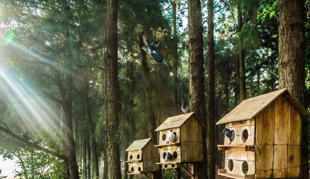 Flamingos Dai Lai Resort - Luxury Ngoc Quang Dış mekan fotoğraf